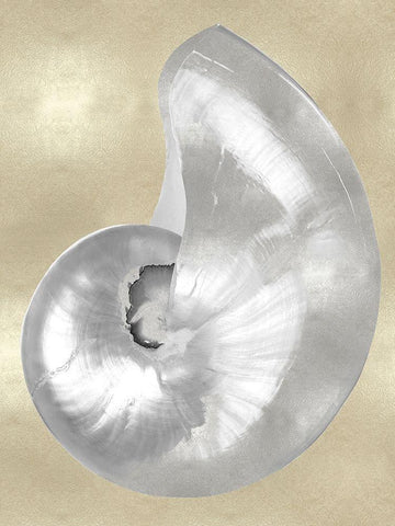 Silver Pearl Shell on Gold I White Modern Wood Framed Art Print with Double Matting by Kelly, Caroline