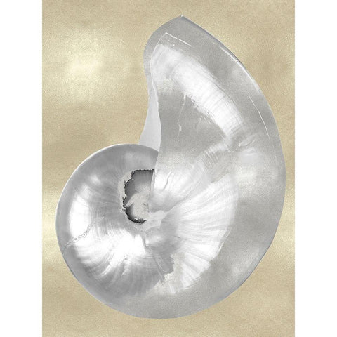 Silver Pearl Shell on Gold I Black Modern Wood Framed Art Print with Double Matting by Kelly, Caroline