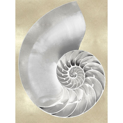 Silver Pearl Shell on Gold II Gold Ornate Wood Framed Art Print with Double Matting by Kelly, Caroline