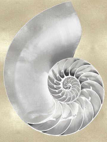 Silver Pearl Shell on Gold II Black Ornate Wood Framed Art Print with Double Matting by Kelly, Caroline