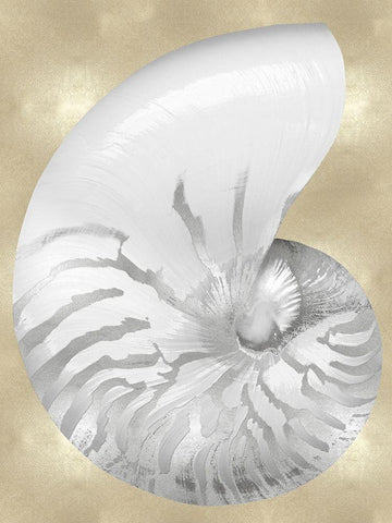 Silver Pearl Shell on Gold III White Modern Wood Framed Art Print with Double Matting by Kelly, Caroline