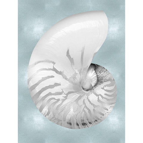 Silver Shell on Aqua Blue II White Modern Wood Framed Art Print by Kelly, Caroline