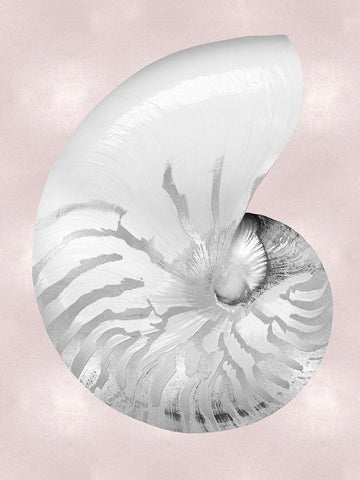 Silver Shell on Pink Blush II White Modern Wood Framed Art Print with Double Matting by Kelly, Caroline