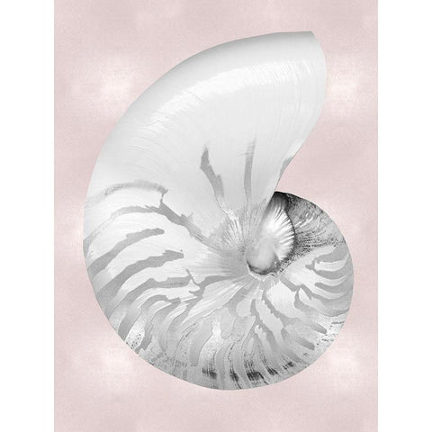 Silver Shell on Pink Blush II White Modern Wood Framed Art Print by Kelly, Caroline