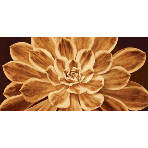 Sedona Black Modern Wood Framed Art Print with Double Matting by Kelly, Caroline