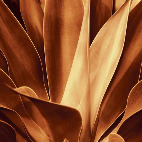 Santa Fe I White Modern Wood Framed Art Print by Kelly, Caroline