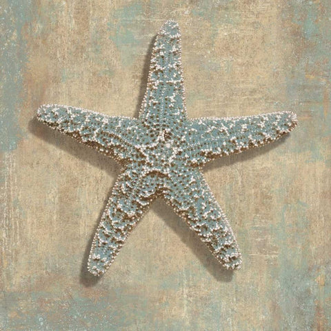 Aqua Starfish Black Ornate Wood Framed Art Print with Double Matting by Kelly, Caroline