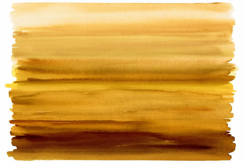 Ombre Amber I Black Ornate Wood Framed Art Print with Double Matting by Corbin, Allie