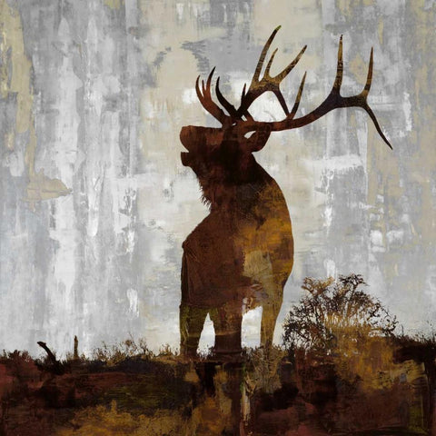 Elk White Modern Wood Framed Art Print with Double Matting by Colburn, Carl