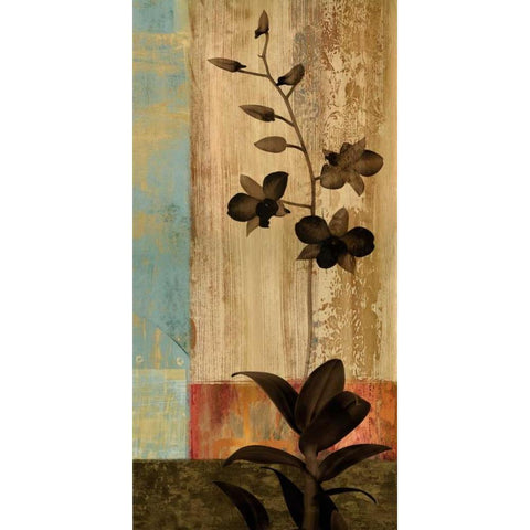 Numinous II Black Modern Wood Framed Art Print by Donovan, Chris