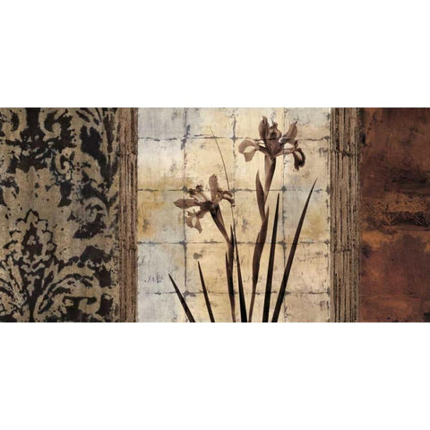 Bodhi II Black Modern Wood Framed Art Print by Donovan, Chris