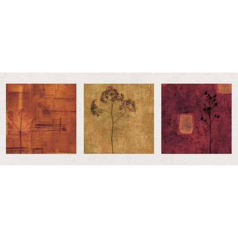 Provenance Black Modern Wood Framed Art Print by Donovan, Chris