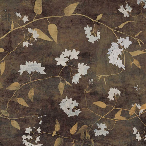 Blossoms I Black Modern Wood Framed Art Print with Double Matting by Donovan, Chris