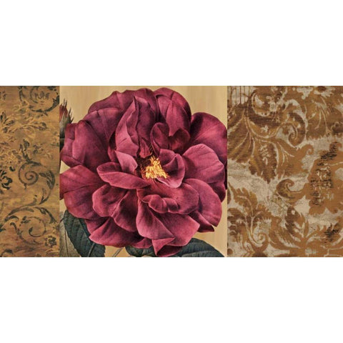 Heirloom II Black Modern Wood Framed Art Print by Donovan, Chris