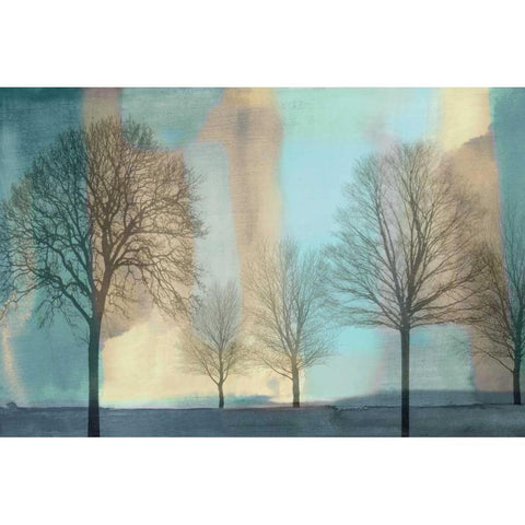 Misty Morning I Black Modern Wood Framed Art Print with Double Matting by Donovan, Chris