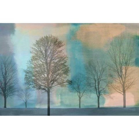 Misty Morning II Black Modern Wood Framed Art Print by Donovan, Chris