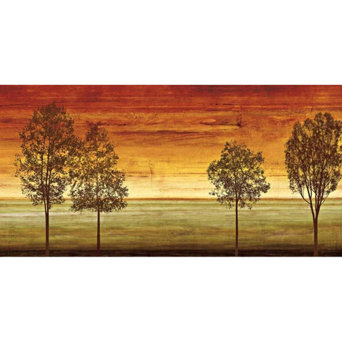 Sunset Vista II Black Modern Wood Framed Art Print with Double Matting by Donovan, Chris