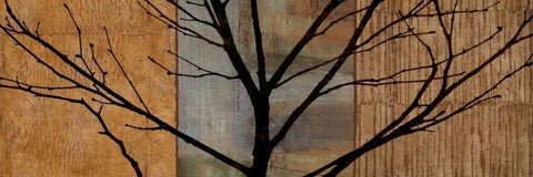 Arboreal I Black Ornate Wood Framed Art Print with Double Matting by Donovan, Chris