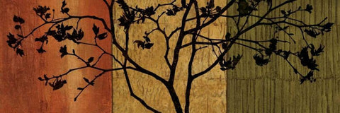 Arboreal II Black Ornate Wood Framed Art Print with Double Matting by Donovan, Chris