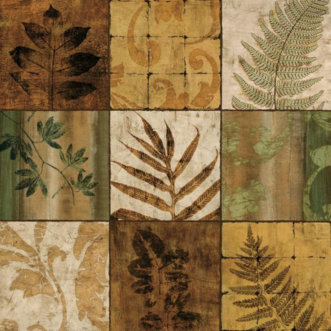 Natures Touch I White Modern Wood Framed Art Print with Double Matting by Donovan, Chris