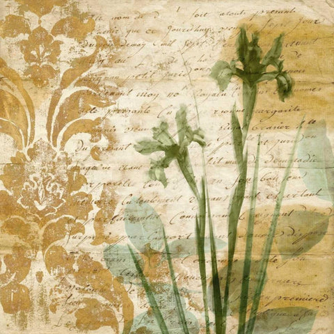 Romance II White Modern Wood Framed Art Print by Donovan, Chris