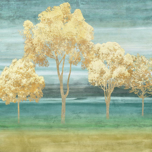 Image Only