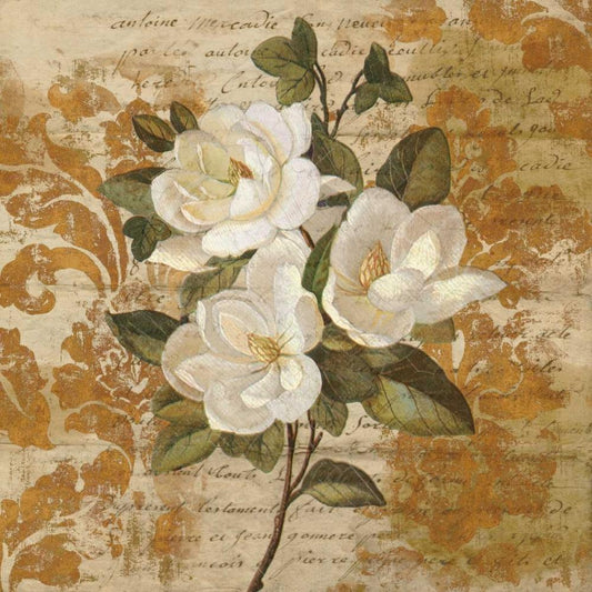 Image Only