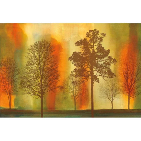 Sunset I Gold Ornate Wood Framed Art Print with Double Matting by Donovan, Chris