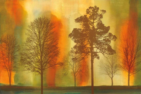 Sunset I White Modern Wood Framed Art Print with Double Matting by Donovan, Chris