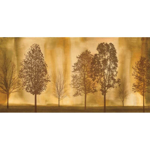 Idyllic Black Modern Wood Framed Art Print with Double Matting by Donovan, Chris