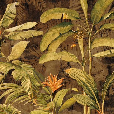 Hidden Gem I White Modern Wood Framed Art Print by Donovan, Chris