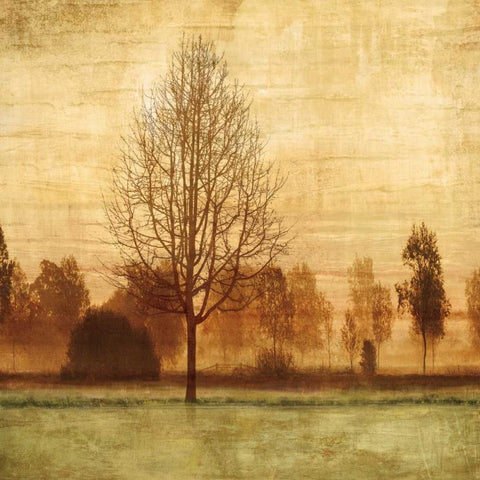 Golden Sunrise II White Modern Wood Framed Art Print by Donovan, Chris