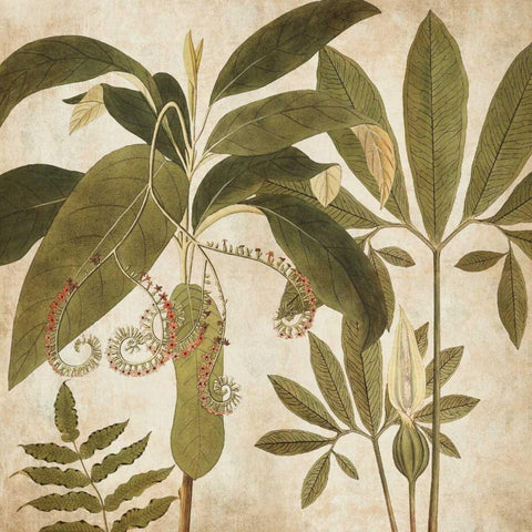 Palm Persuasion I Black Modern Wood Framed Art Print by Donovan, Chris