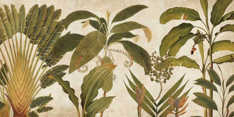 Palm Medley Black Ornate Wood Framed Art Print with Double Matting by Donovan, Chris