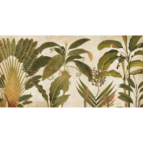 Palm Medley Black Modern Wood Framed Art Print by Donovan, Chris