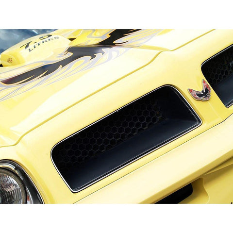 1976 Pontiac Trans Am Black Modern Wood Framed Art Print with Double Matting by Branson, Clive