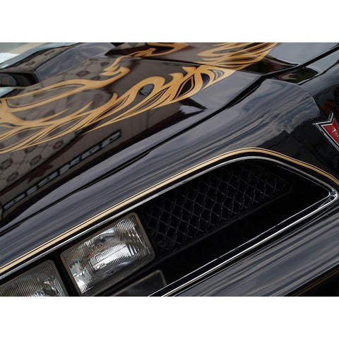 1978 Pontiac Trans Am White Modern Wood Framed Art Print by Branson, Clive