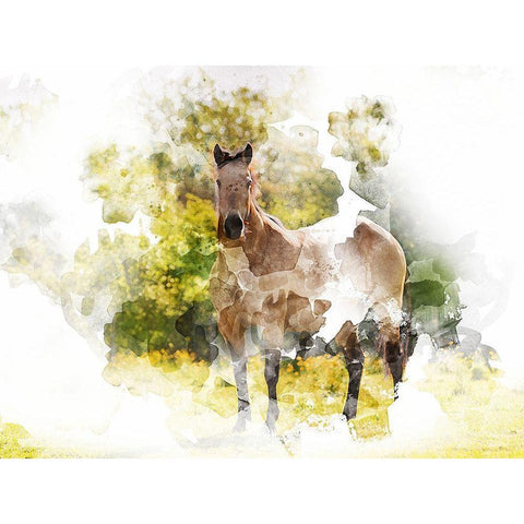 Stallion II Black Modern Wood Framed Art Print with Double Matting by Young, Chamira