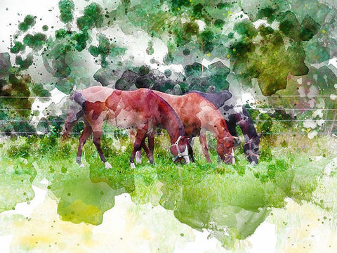 Grazing III White Modern Wood Framed Art Print with Double Matting by Young, Chamira