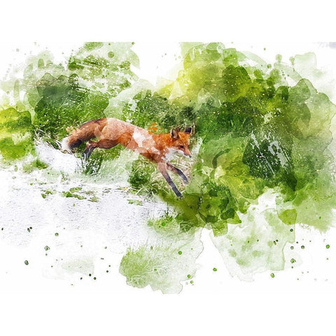 Fox  White Modern Wood Framed Art Print by Young, Chamira