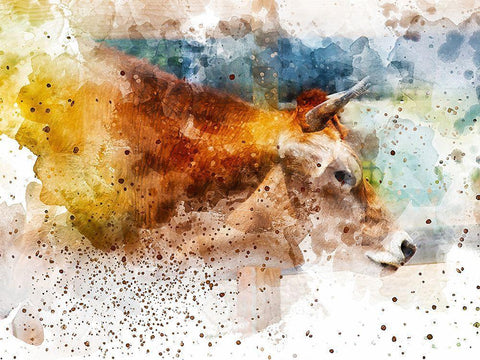 Cow I White Modern Wood Framed Art Print with Double Matting by Young, Chamira