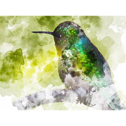 Humming Bird Black Modern Wood Framed Art Print with Double Matting by Young, Chamira