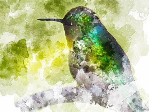 Humming Bird White Modern Wood Framed Art Print with Double Matting by Young, Chamira