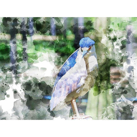 Blue Bird II  White Modern Wood Framed Art Print by Young, Chamira