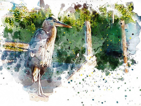 Heron White Modern Wood Framed Art Print with Double Matting by Young, Chamira