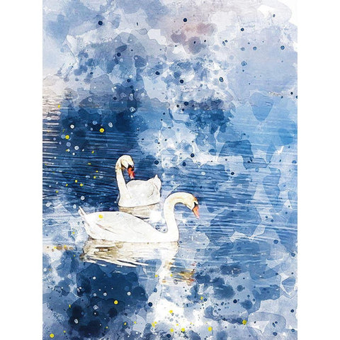 Swans II Black Modern Wood Framed Art Print with Double Matting by Young, Chamira