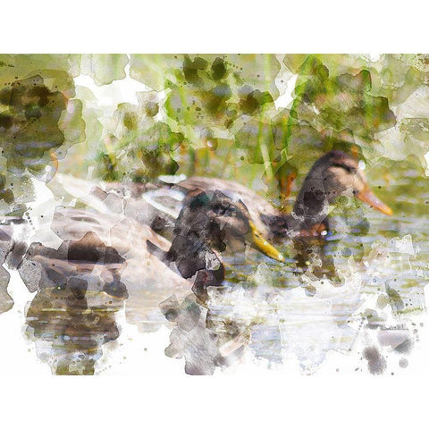 Ducks in Float II Gold Ornate Wood Framed Art Print with Double Matting by Young, Chamira