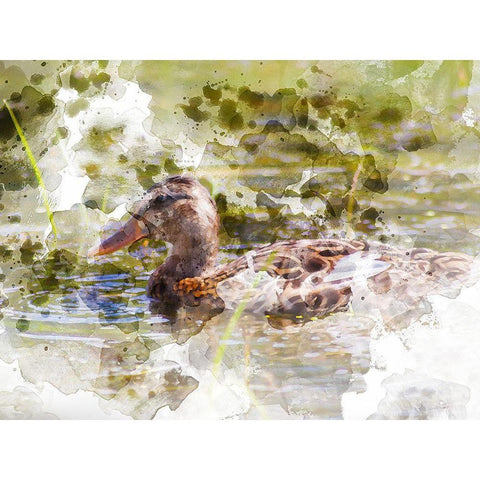 Ducks in Float III Gold Ornate Wood Framed Art Print with Double Matting by Young, Chamira