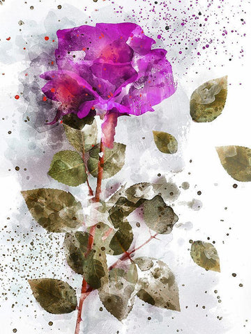 Rose in Bloom II  White Modern Wood Framed Art Print with Double Matting by Young, Chamira