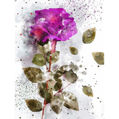 Rose in Bloom II  Black Modern Wood Framed Art Print by Young, Chamira